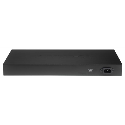 D-Link DES-3028 D-Link DES-3028